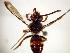  ( - Bee20-4)  @13 [ ] Copyright (2010) Unspecified Unspecified