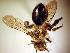  ( - Bee3-18)  @13 [ ] Copyright (2010) Unspecified Unspecified
