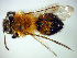  ( - Bee118)  @13 [ ] CreativeCommons - Attribution Non-Commercial Share-Alike (2010) Unspecified York University