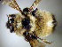  ( - Bee130)  @13 [ ] CreativeCommons - Attribution Non-Commercial Share-Alike (2010) Unspecified York University