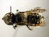  ( - Bee221)  @13 [ ] CreativeCommons - Attribution Non-Commercial Share-Alike (2010) Unspecified York University