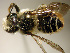  ( - Bee222)  @13 [ ] CreativeCommons - Attribution Non-Commercial Share-Alike (2010) Unspecified York University