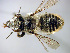  ( - Bee227)  @13 [ ] CreativeCommons - Attribution Non-Commercial Share-Alike (2010) Unspecified York University