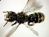  ( - Bee228)  @13 [ ] CreativeCommons - Attribution Non-Commercial Share-Alike (2010) Unspecified York University