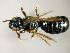  ( - Bee254)  @13 [ ] CreativeCommons - Attribution Non-Commercial Share-Alike (2010) Unspecified York University