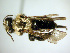  ( - Bee191)  @13 [ ] Copyright (2010) Unspecified Unspecified