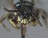  ( - Bee5-3)  @12 [ ] Copyright (2010) Unspecified Unspecified