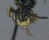  ( - Bee5-3)  @12 [ ] Copyright (2010) Unspecified Unspecified