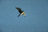  ( - 1B-2912)  @12 [ ] Unspecified (default): All Rights Reserved  Unspecified Unspecified