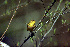  ( - 1B-2090)  @13 [ ] Unspecified (default): All Rights Reserved  Unspecified Unspecified