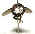  ( - DHJPAR0001124)  @14 [ ] Unspecified (default): All Rights Reserved  Unspecified Unspecified
