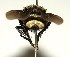  ( - DHJPAR0001168)  @14 [ ] Unspecified (default): All Rights Reserved  Unspecified Unspecified