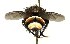  ( - DHJPAR0001198)  @14 [ ] Unspecified (default): All Rights Reserved  Unspecified Unspecified