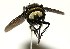  ( - DHJPAR0001202)  @14 [ ] Unspecified (default): All Rights Reserved  Unspecified Unspecified