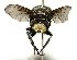  ( - DHJPAR0001212)  @14 [ ] Unspecified (default): All Rights Reserved  Unspecified Unspecified