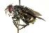  ( - DHJPAR0001213)  @14 [ ] Unspecified (default): All Rights Reserved  Unspecified Unspecified
