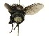  ( - DHJPAR0001215)  @13 [ ] Unspecified (default): All Rights Reserved  Unspecified Unspecified