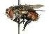  ( - DHJPAR0001230)  @13 [ ] Unspecified (default): All Rights Reserved  Unspecified Unspecified