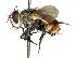  ( - DHJPAR0001232)  @13 [ ] Unspecified (default): All Rights Reserved  Unspecified Unspecified