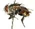  ( - DHJPAR0001237)  @13 [ ] Unspecified (default): All Rights Reserved  Unspecified Unspecified