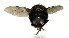  ( - DHJPAR0001239)  @12 [ ] Unspecified (default): All Rights Reserved  Unspecified Unspecified