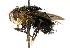  ( - DHJPAR0001241)  @14 [ ] Unspecified (default): All Rights Reserved  Unspecified Unspecified