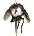  ( - DHJPAR0001250)  @13 [ ] Unspecified (default): All Rights Reserved  Unspecified Unspecified