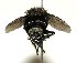  ( - DHJPAR0001253)  @13 [ ] Unspecified (default): All Rights Reserved  Unspecified Unspecified