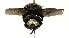  ( - DHJPAR0001254)  @13 [ ] Unspecified (default): All Rights Reserved  Unspecified Unspecified