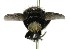  ( - DHJPAR0001712)  @14 [ ] Unspecified (default): All Rights Reserved  Unspecified Unspecified