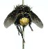  ( - DHJPAR0001715)  @14 [ ] Unspecified (default): All Rights Reserved  Unspecified Unspecified