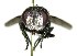  ( - DHJPAR0001772)  @14 [ ] Unspecified (default): All Rights Reserved  Unspecified Unspecified
