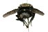  ( - DHJPAR0001772)  @14 [ ] Unspecified (default): All Rights Reserved  Unspecified Unspecified