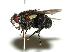  ( - DHJPAR0001859)  @14 [ ] Unspecified (default): All Rights Reserved  Unspecified Unspecified