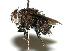 ( - DHJPAR0001879)  @14 [ ] Unspecified (default): All Rights Reserved  Unspecified Unspecified