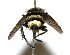  ( - DHJPAR0001886)  @14 [ ] Unspecified (default): All Rights Reserved  Unspecified Unspecified