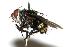  ( - DHJPAR0001900)  @14 [ ] Unspecified (default): All Rights Reserved  Unspecified Unspecified