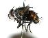  ( - DHJPAR0001914)  @14 [ ] Unspecified (default): All Rights Reserved  Unspecified Unspecified