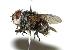  ( - DHJPAR0001940)  @14 [ ] Unspecified (default): All Rights Reserved  Unspecified Unspecified
