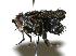  ( - DHJPAR0001958)  @14 [ ] Unspecified (default): All Rights Reserved  Unspecified Unspecified