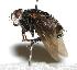  ( - DHJPAR0001972)  @14 [ ] Unspecified (default): All Rights Reserved  Unspecified Unspecified