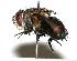  ( - DHJPAR0001989)  @14 [ ] Unspecified (default): All Rights Reserved  Unspecified Unspecified