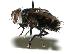  ( - DHJPAR0001999)  @14 [ ] Unspecified (default): All Rights Reserved  Unspecified Unspecified