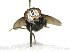  ( - DHJPAR0002000)  @12 [ ] Unspecified (default): All Rights Reserved  Unspecified Unspecified