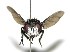  ( - DHJPAR0002106)  @14 [ ] Unspecified (default): All Rights Reserved  Unspecified Unspecified