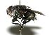  ( - DHJPAR0002122)  @14 [ ] Unspecified (default): All Rights Reserved  Unspecified Unspecified