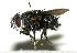  ( - DHJPAR0002133)  @14 [ ] Unspecified (default): All Rights Reserved  Unspecified Unspecified
