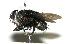  ( - DHJPAR0002138)  @14 [ ] Unspecified (default): All Rights Reserved  Unspecified Unspecified