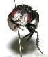  ( - DHJPAR0003588)  @13 [ ] Unspecified (default): All Rights Reserved  Unspecified Unspecified