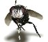 ( - DHJPAR0003594)  @14 [ ] Unspecified (default): All Rights Reserved  Unspecified Unspecified